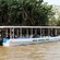 Una embarcación de safari repleta de pasajeros se desliza por un río en la selva